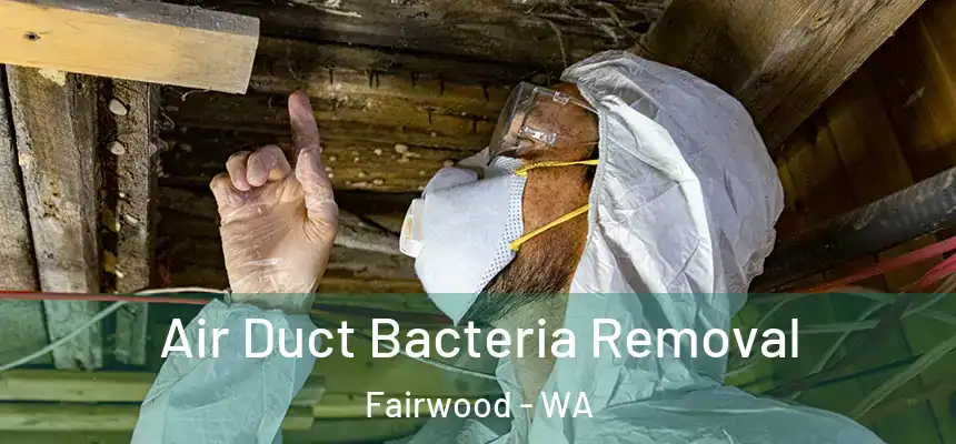 Air Duct Bacteria Removal Fairwood - WA