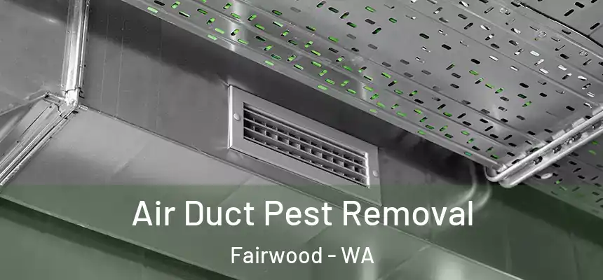  Air Duct Pest Removal Fairwood - WA