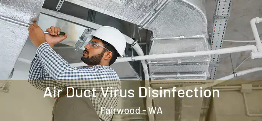  Air Duct Virus Disinfection Fairwood - WA