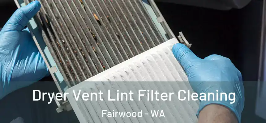  Dryer Vent Lint Filter Cleaning Fairwood - WA