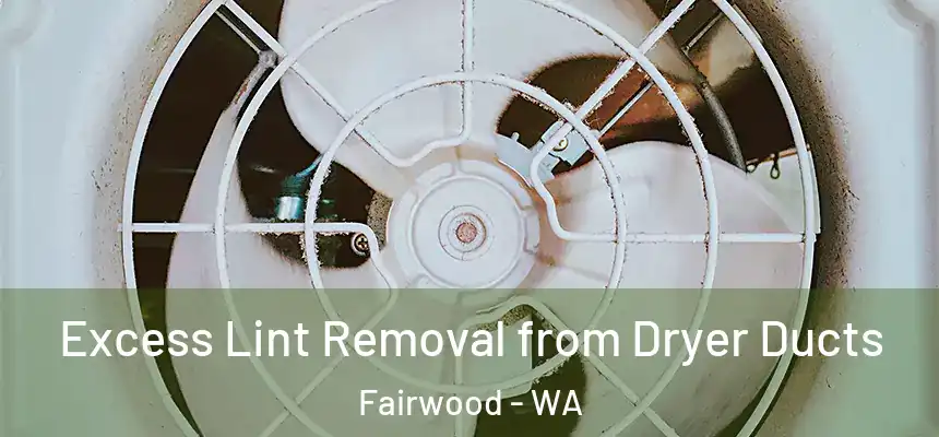  Excess Lint Removal from Dryer Ducts Fairwood - WA