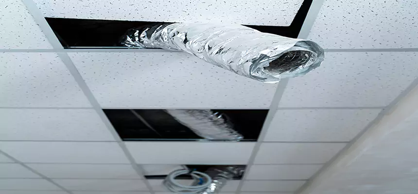 Affordable HVAC Sanitizing After Pest Removal in Fairwood