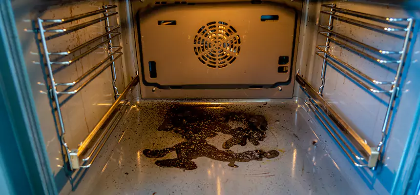 Our Dryer Vent Mold Cleaning Services in Fairwood, WA