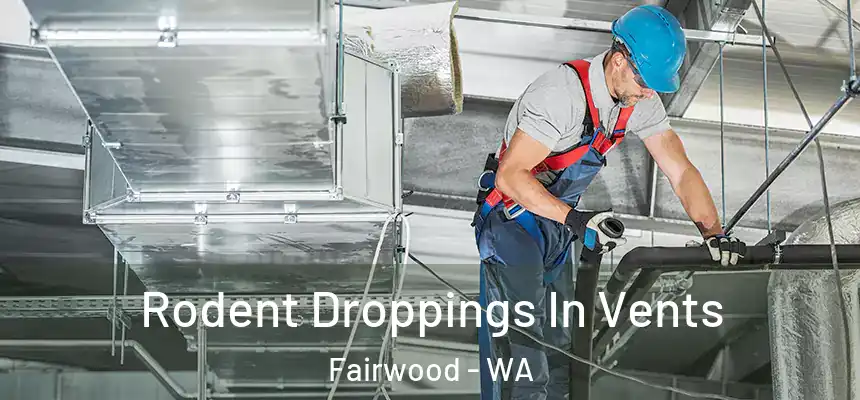  Rodent Droppings In Vents Fairwood - WA