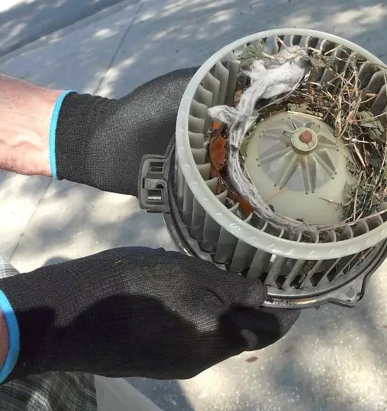 About Air Duct Mice Removal in Fairwood, WA