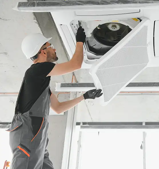 About Air Duct Rodent Removal in Fairwood, WA