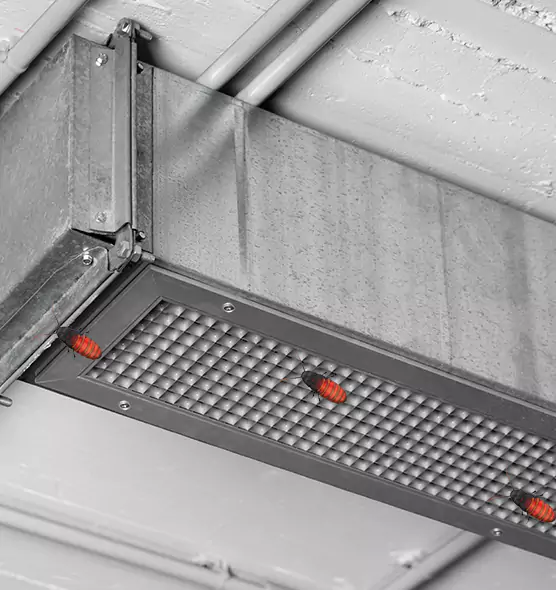 Affordable Insect Removal from Air Ducts in Fairwood, WA